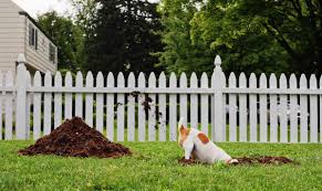stop a dog from digging under a fence
