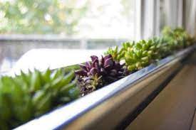 It is a nice accompaniment to the leonardo square planter. 20 Gorgeous Diy Window Flower Box Planters To Beautify Your Home Diy Crafts