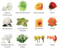 Plants and flowers in baguio. Drawing Of Different Flowers With Name Novocom Top