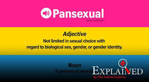 .because it is the beginnings of a happy dinner i will have with my genderqueer significant other, whom i love. Explained What Does It Mean To Be Pansexual Explained News The Indian Express