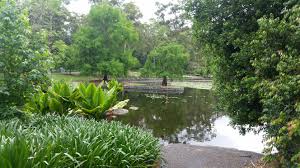 mt coot tha botanical gardens