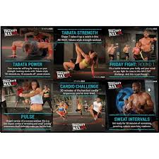 insanity max 30 by shaun t instant