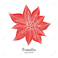 Christmas Greeting Card Template With Hand Drawn Poinsettia Flower