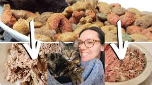 worst cat food brands hint they re