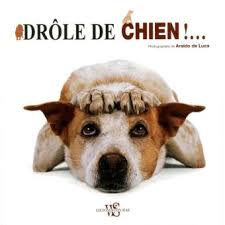 Drôle de chien !... - cartonné - Araldo De Luca, Hélène Tordo - Achat Livre  | fnac