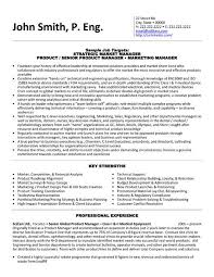 Executive Resume Samples Pinterest Sample Resume Senior Sales Marketing Executive Page  