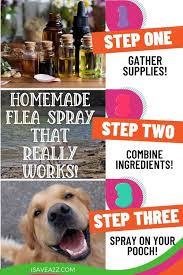 homemade homemade flea spray for dogs