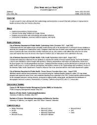   how to write a cv with no job experience basic job appication first cv no
