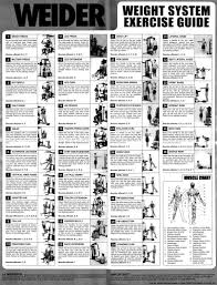 Gold S Gym Xrs 50 Exercise Chart Pdf Yourviewsite Co Gym