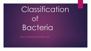 Classification Of Bacteria Online Biology Notes