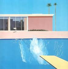 swimming pool by herman koch