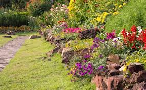 page 53 petunia flowerbed landscaping
