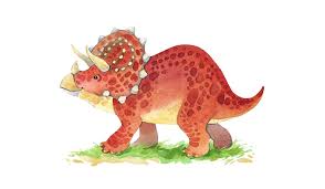 cute triceratops dinosaur photo wallpaper