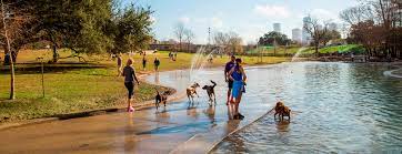 dog friendly places in houston tx