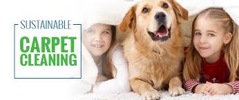 green carpet cleaning fort collins