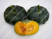 Image result for pumpkin dark jade
