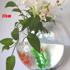 Fish Tank Bowl Aquarium Plant