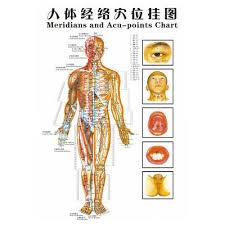 Chinese Medicine Body Acupuncture Points Meridians And