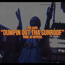 Dumpin Out Tha Sunroof - Single - Album by Ync Capo - Apple Music