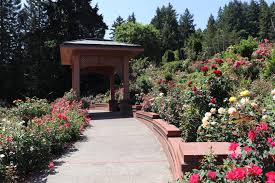 Portland Japanese And Rose Test Garden