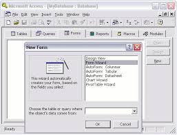 Microsoft Access 2003 Create A Form