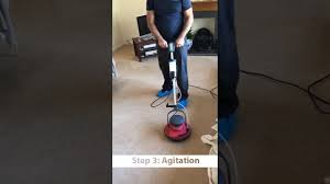 carpet cleaning barry vale carpet