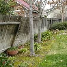 how to protect a fence from soil damage