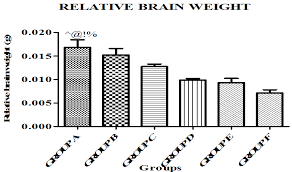 A Bar Chart Showing The Relative Brain Weight R B W Of