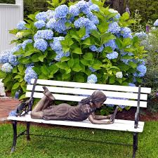 From flower to package, we are striving to integrate all the latest sustainable technologies and pledge to do our share in protecting the environment. Hydrangea Happiness On Cape Cod Hyannis Country Garden