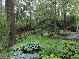 a woodland garden design finegardening