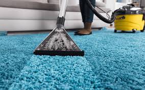 how to get water out of carpet pro