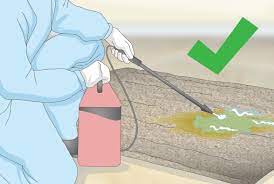 how to remove a yellow dog stain