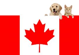 Shop for all of your pet needs at chewy's online pet store. International Pet Transport To Canada Jetpets Au Pet Travel Consultants