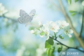 Sticker Pastel colored photo of butterfly and spring flowers - PIXERS.US
