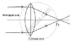 how does the action of a convex lens