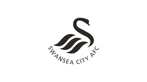 Swansea city rosa aggiornata calendario schede dei giocatori valori di mercato calciomercato statistiche e tanto altro. Swansea City Say Stay Home Swansea