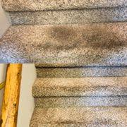 matthews quality carpet cleaning