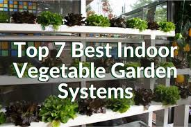 indoor vegetable garden systems top 7