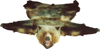 real fur rugs mounted taxidermy