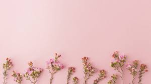 rose gold wallpapers for free