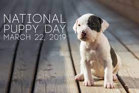National Puppy Day: March 22, 2019 ...