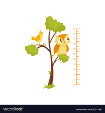 Kids Height Chart And Birds Sitting On Branches Of