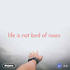 Life is not a bed of roses