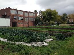 This Picture Shows An Urban Farm In