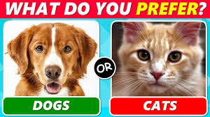 what do you prefer dogs or cats