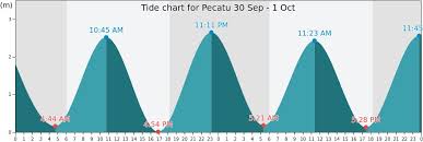 Pecatu Tide Times Tides Forecast Fishing Time And Tide