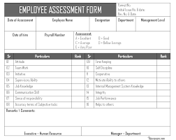 Employee Assessment