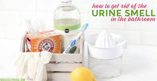 How To Get Rid Of The Bathroom Urine Smell