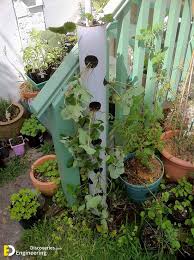31 Pvc Pipe Project Ideas For Garden