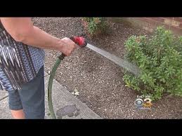 Is It Safe To Drink From A Garden Hose